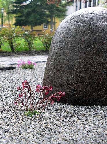 boulder in the lobby