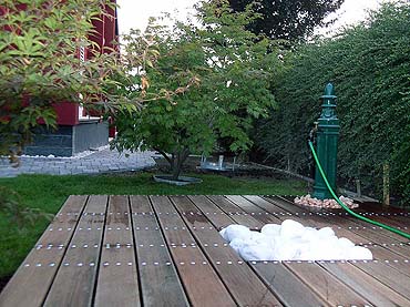 garden or backyard