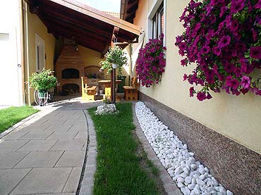 petunias