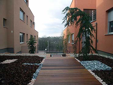 terrasse surélevée et le jardin